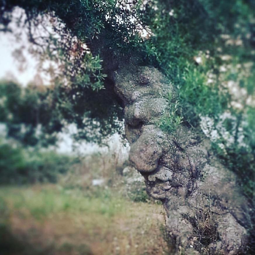 Tenuta Guarascio Cavallino di Lecce Bagian luar foto